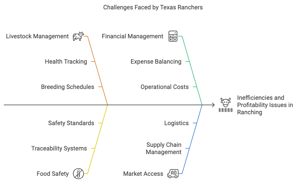 Challenges Faced by Texas Ranchers